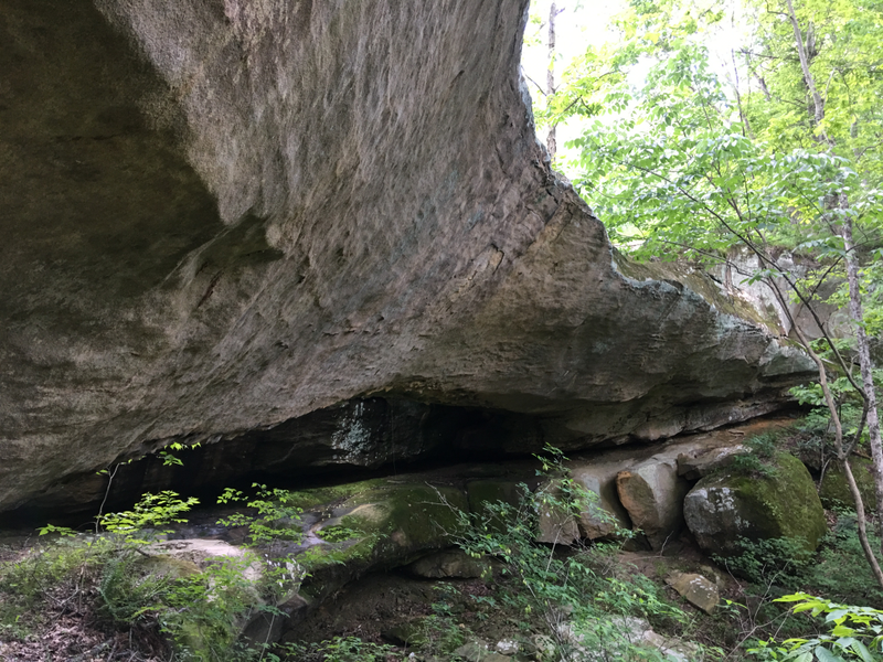 Illustration for article titled Cool Natural Bridge